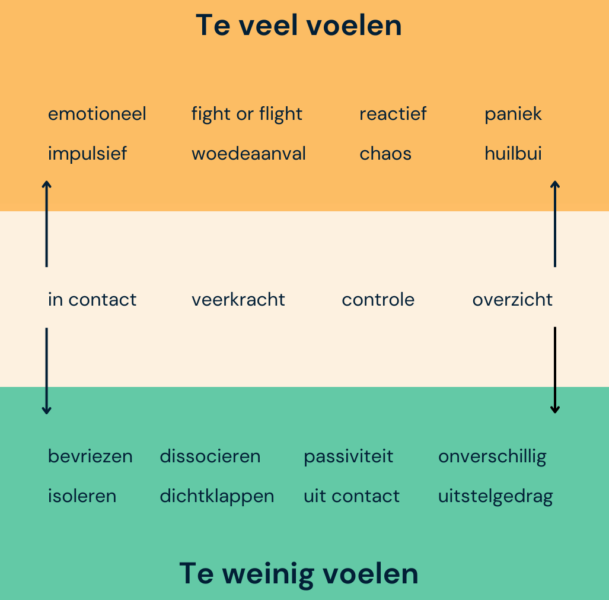 Stressreacties en stressregulatie